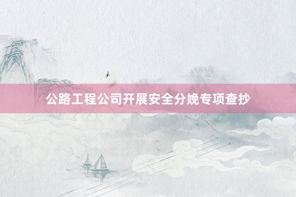 公路工程公司开展安全分娩专项查抄